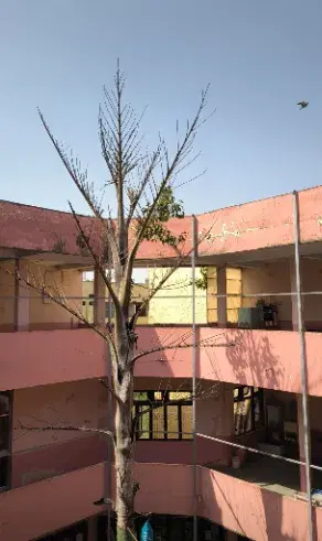 IMS Indore Campus photo 8